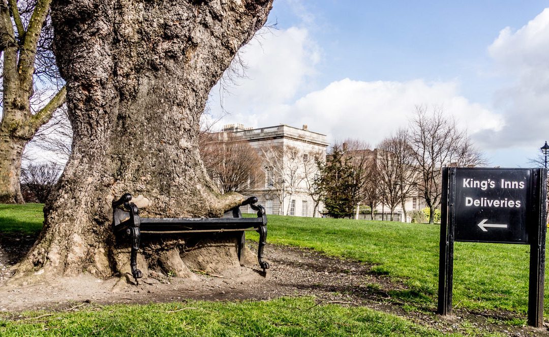 Bubblblog | The Hungry Tree