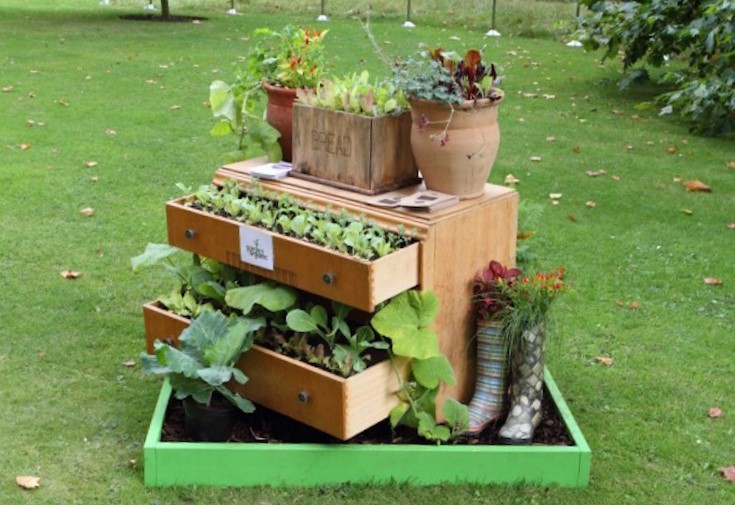 recycle old things to use in garden
